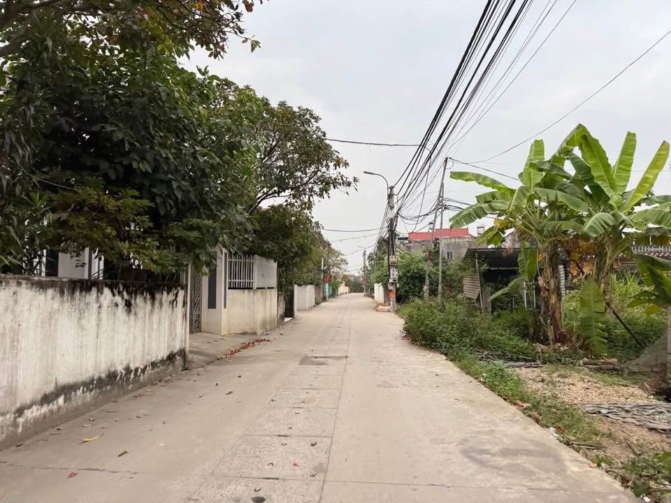 Đất nền Quang Minh Mê Linh 100m² giá 500 triệu - Sổ đỏ chính chủ, đường ô tô tránh