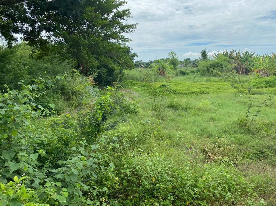 Đất nền Đô Vinh 1000m² giá 1.29 tỷ - Chính chủ bán gấp!