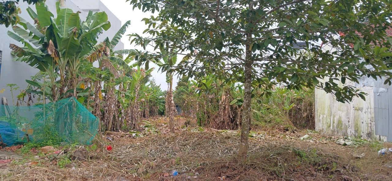 Đất nền 2 mặt tiền đường số 1 và 2 KDC Tân Xuyên, 486m² chỉ 3 tỷ - Cơ hội đầu tư tuyệt vời!