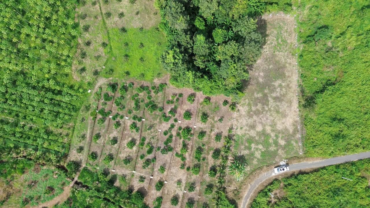 Đất thổ cư Xà Bang Châu Đức 3600m² giá 1.1 tỷ - Sổ đỏ chính chủ, vị trí đẹp!