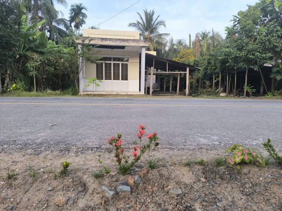 Đất thổ cư 314m² Châu Bình, Giồng Trôm giá 1.2 tỷ - Nhà đẹp, sạch sẽ!