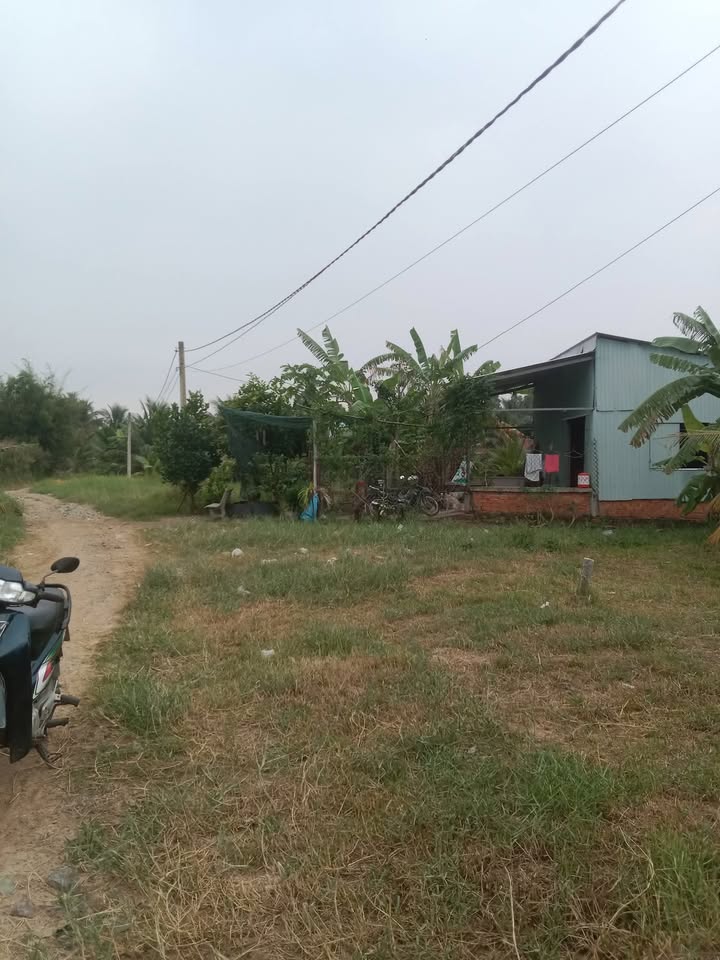 Đất nền Mỹ Chánh, Ba Tri, Bến Tre 4000m² giá 200 triệu - Cơ hội đầu tư tuyệt vời!