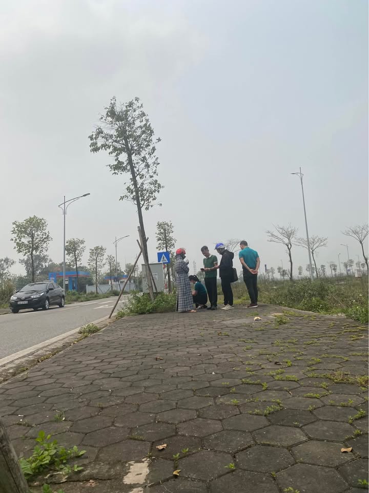 Đất nền KĐT Hà Phương 4, Lý Nhân, 100m² giá 1.96 tỷ - Đầu tư lý tưởng!