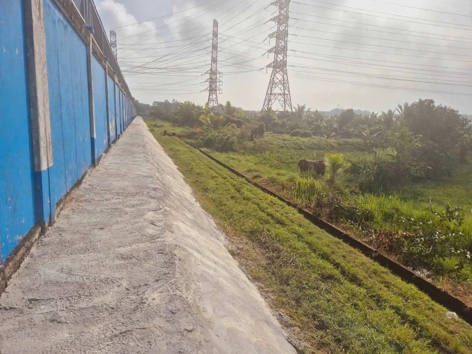 Đất Lúa Nhuận Đức, Củ Chi 1231m² chỉ 500 triệu - Cơ hội đầu tư tuyệt vời!