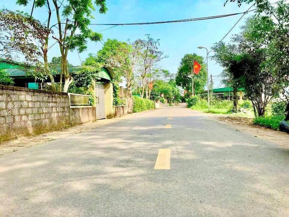 Đất nền An Tiên, Xuân Giang 168m² giá 1.7 tỷ - Vị trí đắc địa, cơ hội đầu tư hấp dẫn!