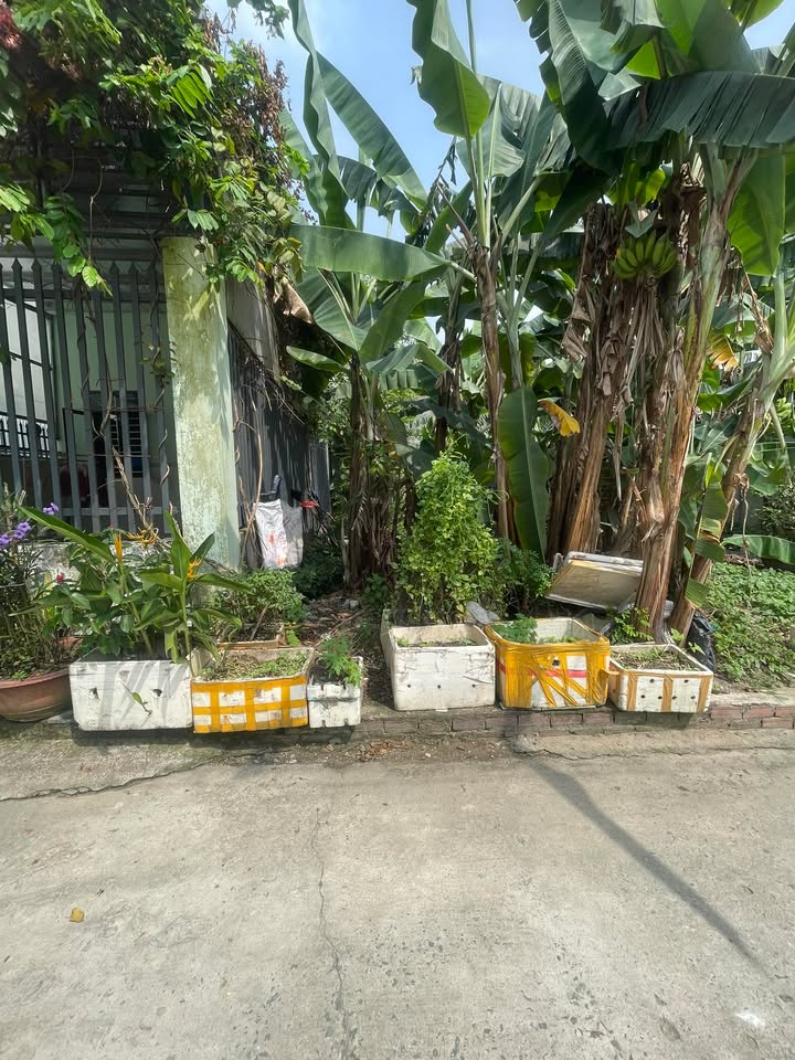 Đất ở Long Bình, Biên Hòa 90m² giá 1 tỷ - Đầu tư sinh lời ngay!