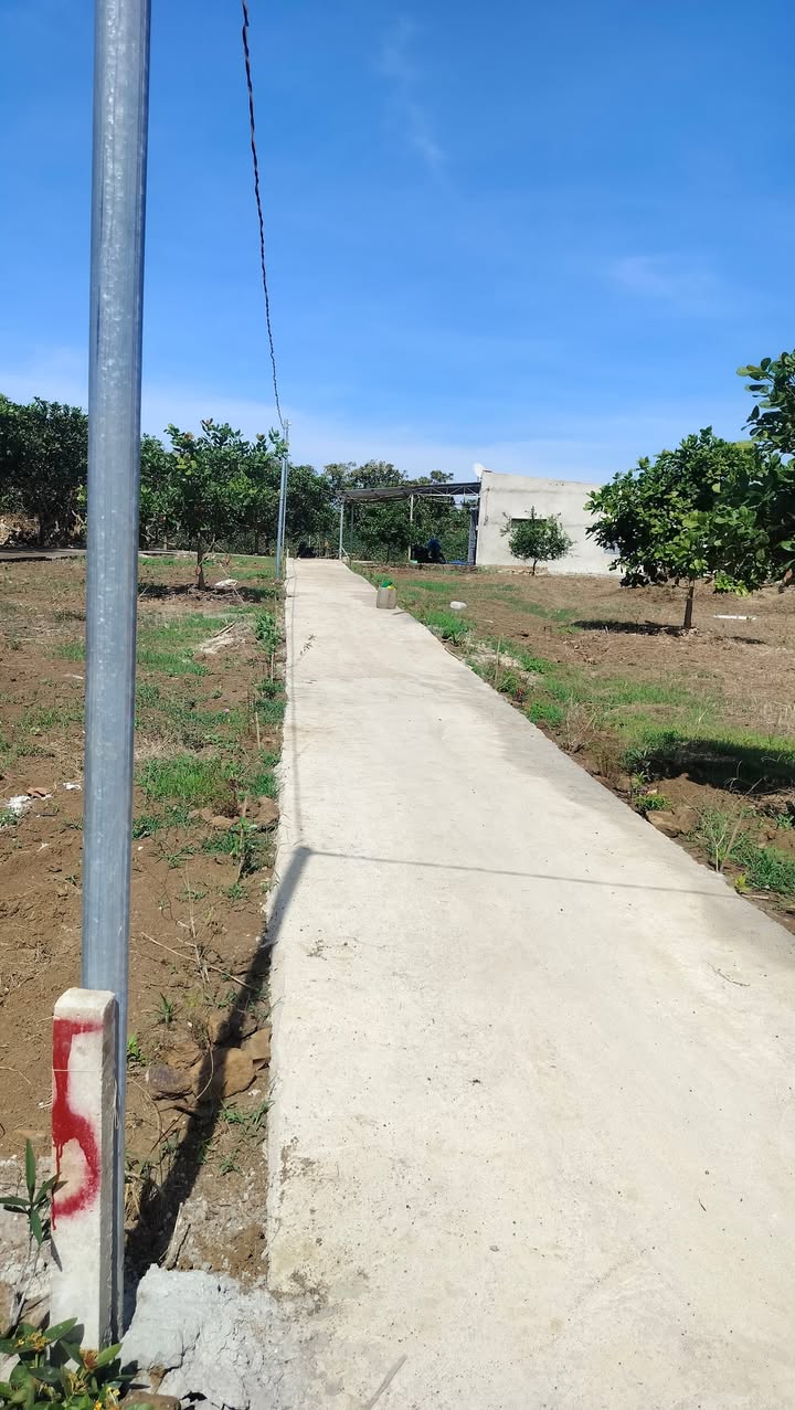 Đất nền ấp 5, Thanh Hoà, Bù Đốp 1248m² giá 399 triệu - Sẵn sàng phát triển!