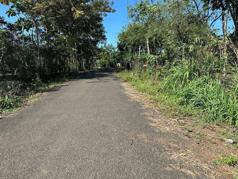 Đất nền Tân Thành, Bù Đốp 3000m² giá 830 triệu - Cơ hội đầu tư hấp dẫn!