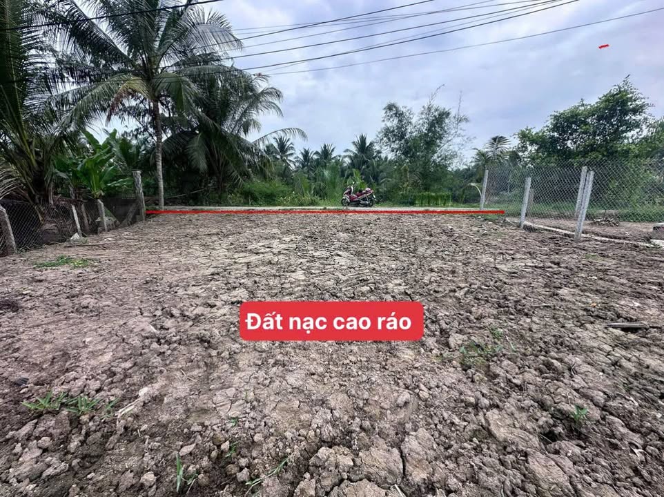 Đất nền đường ô tô xã Hòa Hiệp, Vĩnh Long 135m² giá chỉ 200 triệu - Đầu tư sinh lời tuyệt vời!