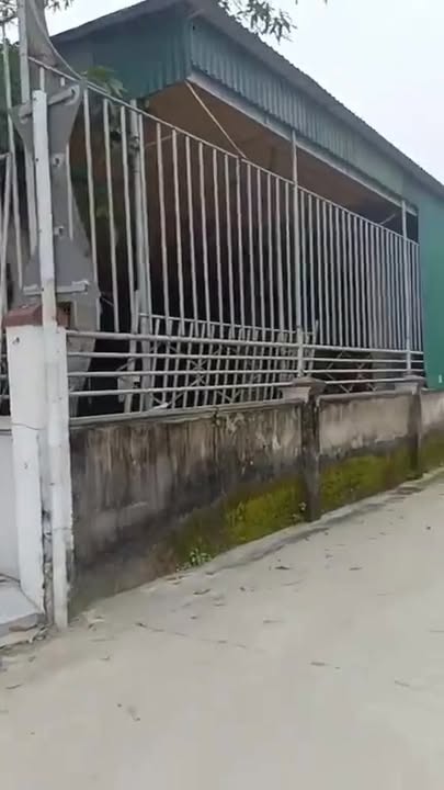 Đất thổ cư Hưng Nguyên 116m² - Đường thông ô tô tránh nhau