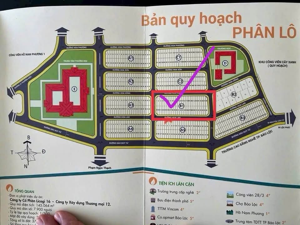 Lô đất Nam Phương City Bảo Lộc 130m² giá 2.65 tỷ - Đầu tư lý tưởng!