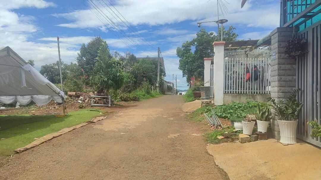 Đất thổ cư Hẻm 256 Mạc Đĩnh Chi, Bảo Lộc 168m² giá 1.85 tỷ - Cơ hội đầu tư tuyệt vời!