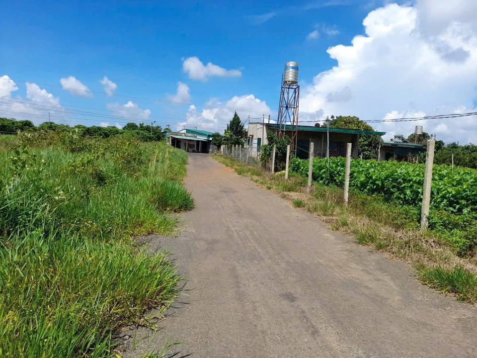 Đất thổ cư Bảo Lộc 311m² giá 1 tỷ - Pháp lý rõ ràng