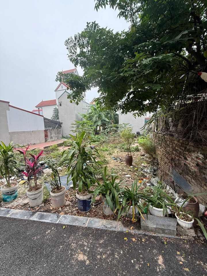 Đất nền Bắc Hồng 73m² giá 4 tỷ - Vị trí vàng, tiềm năng tăng giá cao!