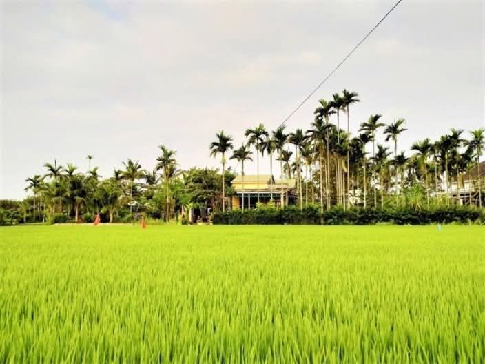 Đất mặt tiền ĐX17, Cẩm Thanh, Hội An 1.425m² giá 21.5 tỷ - Vị trí đẹp, không gian xanh mát!