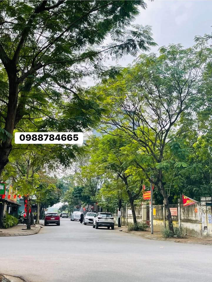 Đất phân lô liền kề KĐT Mậu Lương, Kiến Hưng 50m² - Giá chỉ từ 11.2 tỷ!