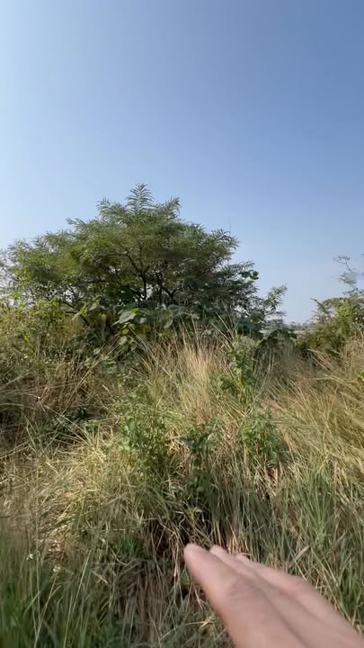 Đất nền Tuần Châu Hạ Long 500m² giá 750 triệu - Cơ hội đầu tư không thể bỏ lỡ!