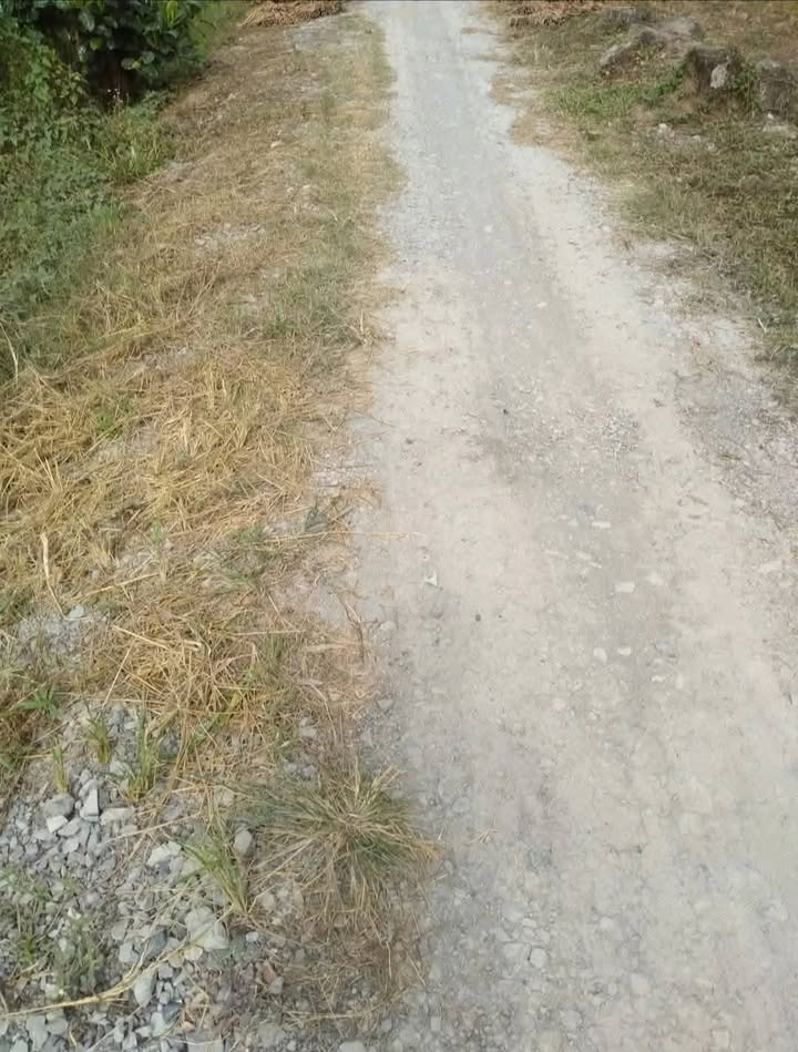 Đất ruộng 8900m² mặt tiền 36m tại Phương Thịnh, giá 1.2 tỷ - Cơ hội đầu tư hấp dẫn!