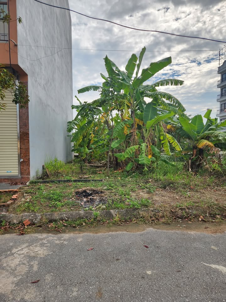 Đất nền phân lô Thụy Ứng, Đan Phượng 55m² giá chỉ 4 tỷ - Pháp lý rõ ràng, không lỗi phong thủy!