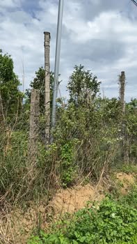 Đất thổ cư Ea Khal 150m² giá 299 triệu - Không gian sống yên bình