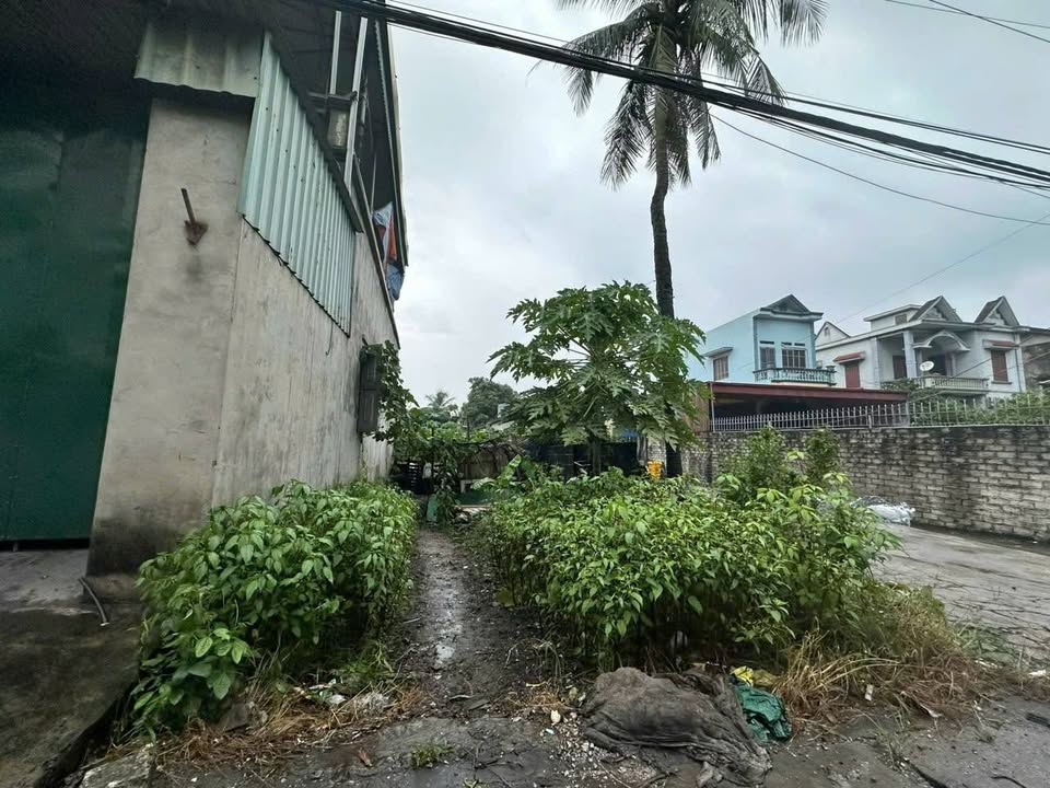 Đất thổ cư trục chính Phú Thứ 427m² giá chỉ 1 tỷ - Cơ hội đầu tư tuyệt vời!