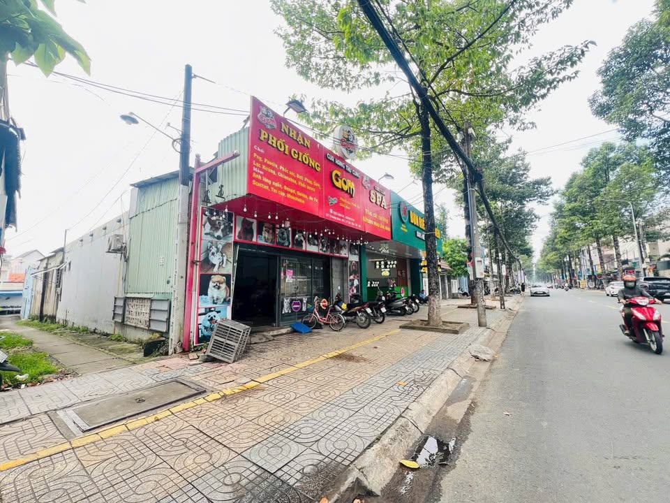 FrontHouse 2 mặt tiền đường Trương Định, Biên Hòa 208m² giá 12.5 tỷ - Cơ hội đầu tư sinh lời!
