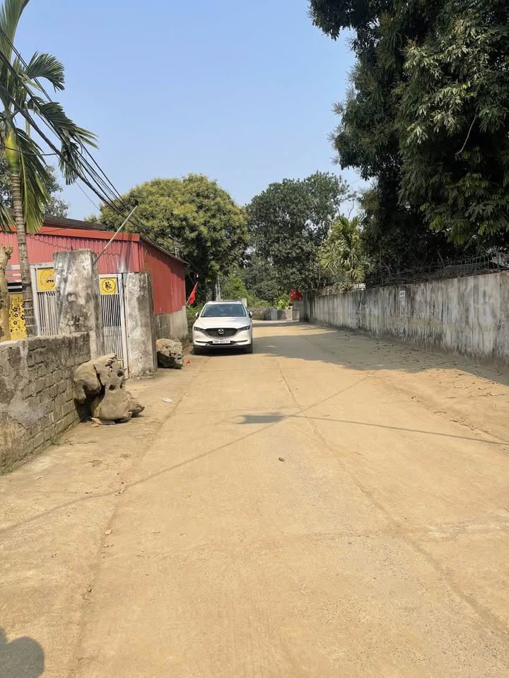 Đất nền tại Thanh Cao, Lương Sơn 232m² giá thỏa thuận - Cơ hội vàng không thể bỏ lỡ!