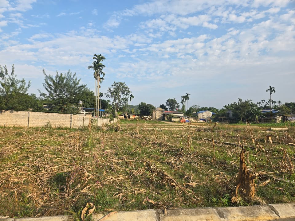 Đất nền 110m² tại Thanh Sơn, Lương Sơn giá chỉ 400 triệu - Đầu tư sinh lời!