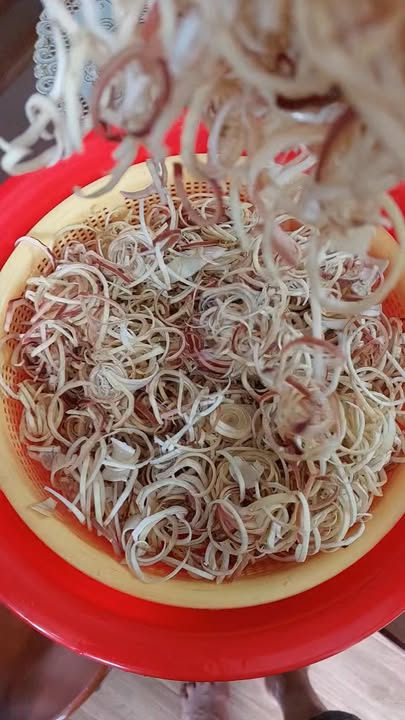 Đất nền 5.500m² tại Phường Phước Bình, Bình Phước - Giá 1.45 tỷ, cơ hội đầu tư tuyệt vời!