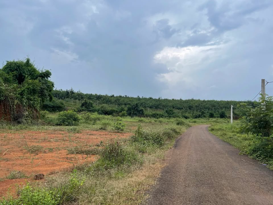 Đất nền 200m² Đồng Tiến, Đồng Phú giá 275 triệu - Cơ hội đầu tư hấp dẫn!