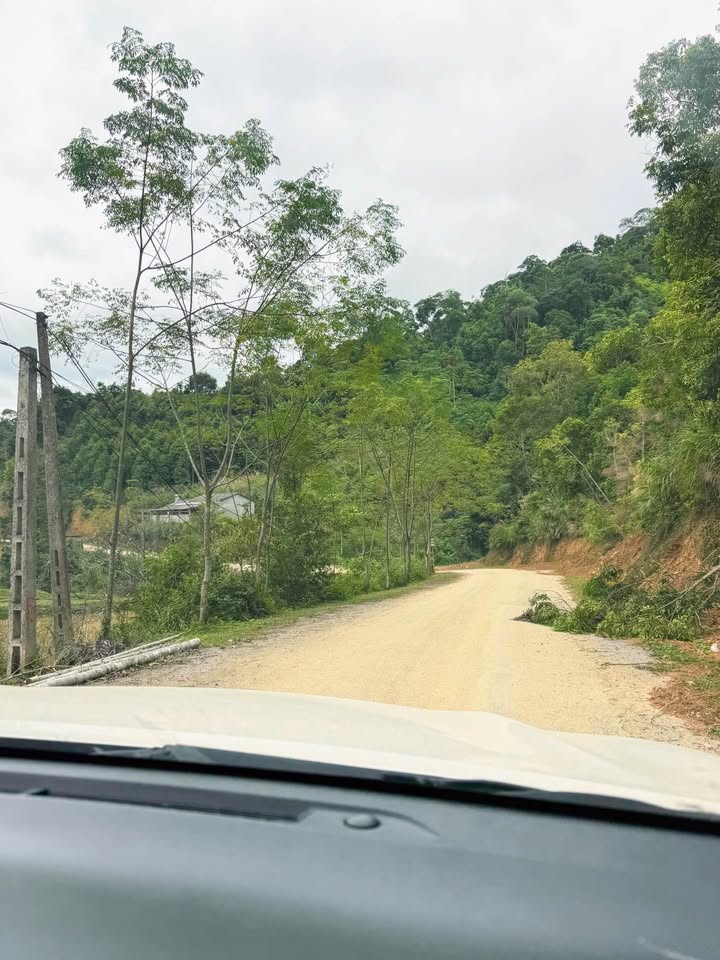 Farm Đổng Xá Na Rì 500m² giá 1.05 tỷ - Đầu tư sinh lời hấp dẫn!