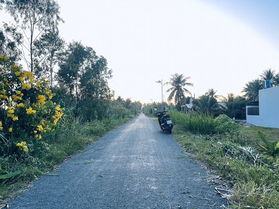 Đất nền ấp 1, xã Mỹ Thạnh Đông, Đức Huệ 233m² giá chỉ 600 triệu - Sổ hồng chính chủ!