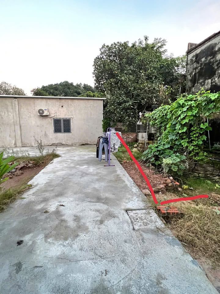 Đất bán chính chủ tại Bình Minh, Thanh Oai, Hà Nội - Diện tích 80m², ô tô vào tận nơi!