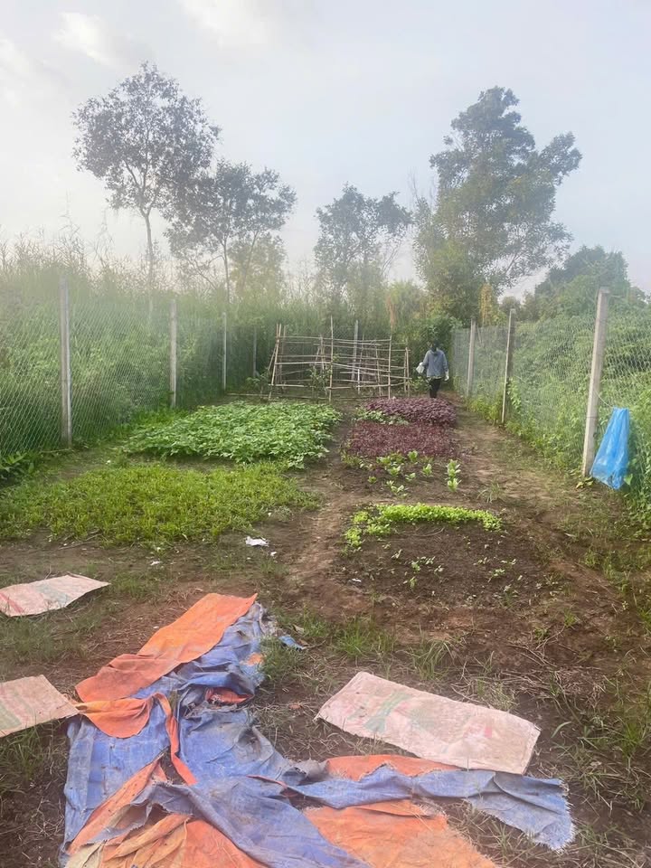 Đất nền Bình Mỹ Củ Chi 150m² giá 3.2 tỷ - Sổ đỏ chính chủ, xây dựng tự do!