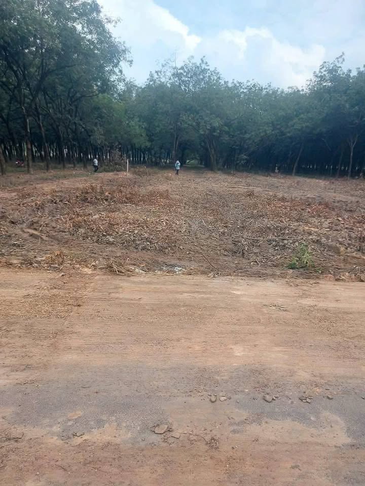 Đất nền Chánh Phú Hòa 60m² giá chỉ từ 1.2 tỷ - Cơ hội đầu tư hấp dẫn!