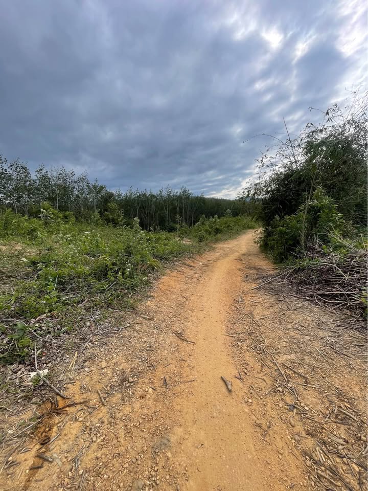 Đất nền 7 sào tại thôn Kon Jờ Rẻ, xã Đăk Bla, giá chỉ 2xx triệu - Đầu tư sinh lời ngay!