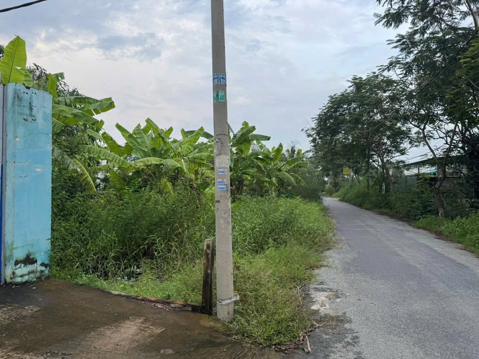 Đất thổ cư 273m² xã Hưng Long, Bình Chánh - Giá chỉ 11 tỷ hấp dẫn!