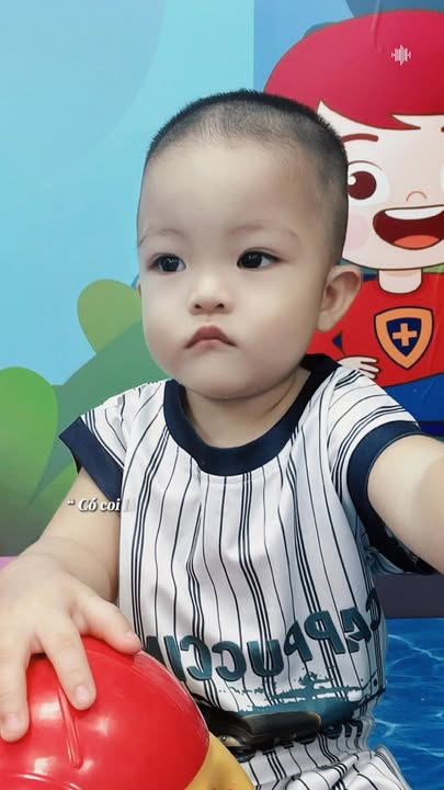 Đất nền Hồ Tràm, Xuyên Mộc 186m² giá 800 triệu - Cơ hội đầu tư tuyệt vời!