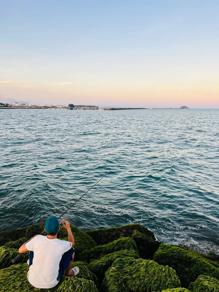 Đất thổ cư 1000m² Phước Hội, La Gi chỉ 2 tỷ - Cách bãi tắm 400m!