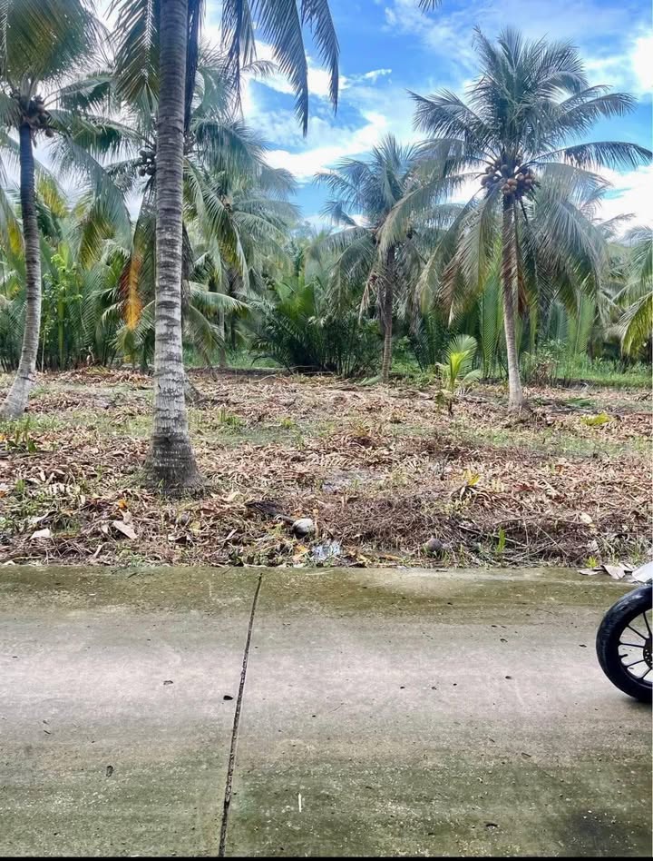 Đất nền Phước Hiệp Mỏ Cày Nam 514m² giá 420 triệu - Cơ hội đầu tư hấp dẫn!