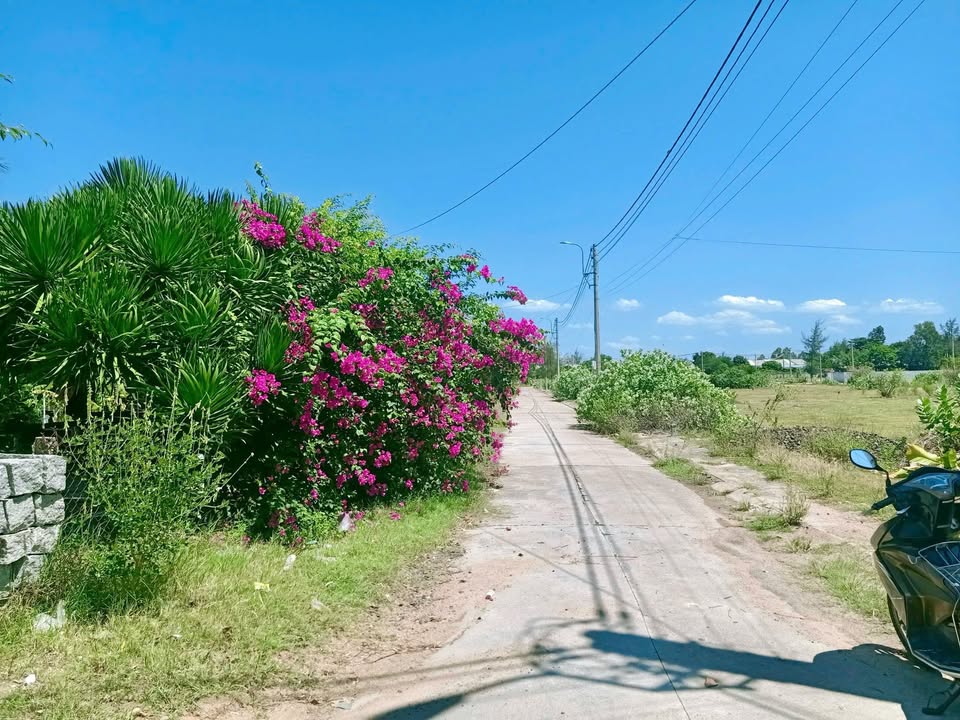 Đất thổ cư Hòa Hiệp Bắc 150,5m² giá 1,1 tỷ - Sổ hồng riêng, ô tô vào tận nơi!