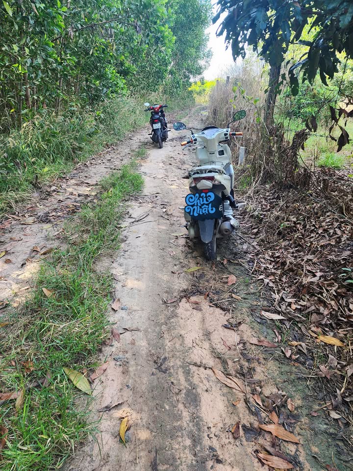 Đất nền Phước Tân, Xuyên Mộc 1400m² giá 1.5 tỷ - Sổ đỏ chính chủ, ô tô vào tận nơi!