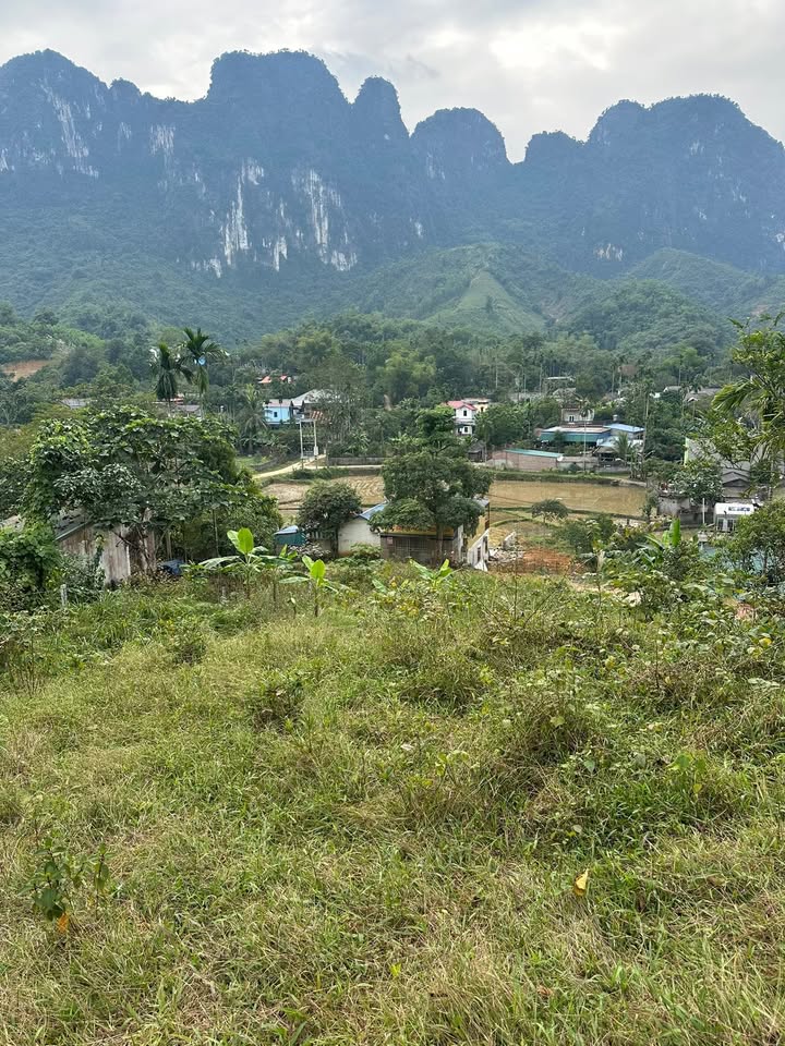 Đất nền Cao Sơn Lương Sơn 1100m² giá chỉ 3 tỷ - View đẹp thoáng mát!