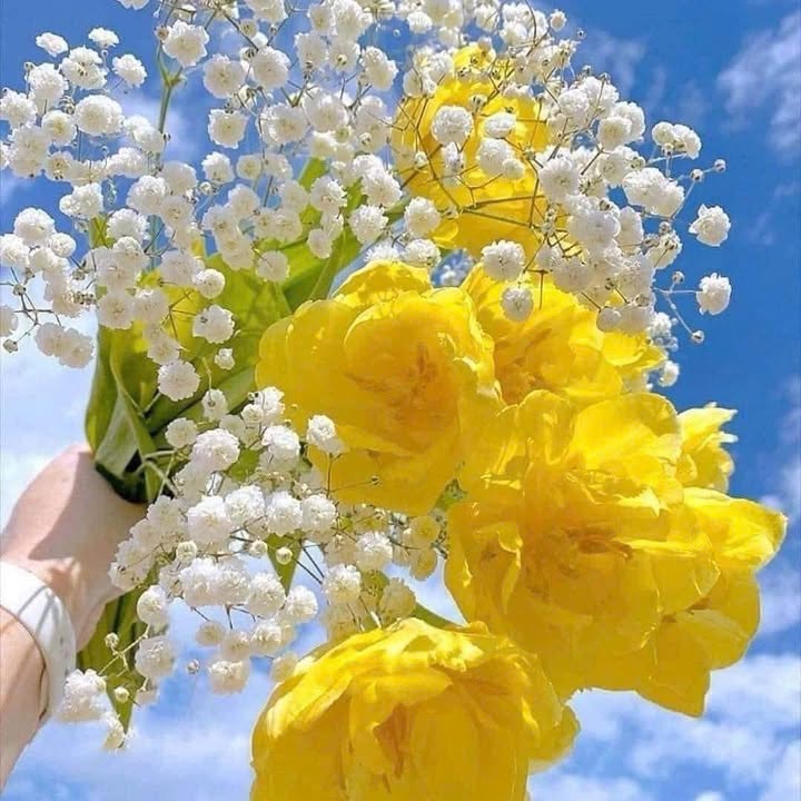 Nhà đẹp phường 7 Tuy Hòa 100m² giá chỉ 4 tỷ - Sẵn sàng vào ở!