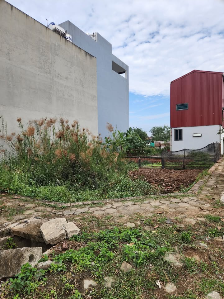 Đất nền phân lô Thụy Ứng, Đan Phượng 55m² giá 4 tỷ - Vị trí đẹp, thuận tiện kinh doanh!