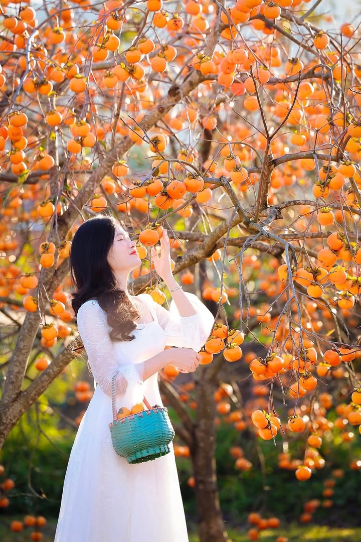 Đất nền Thắng Lợi, Thường Tín 139m² - Lô góc 3 mặt thoáng, giá thỏa thuận!