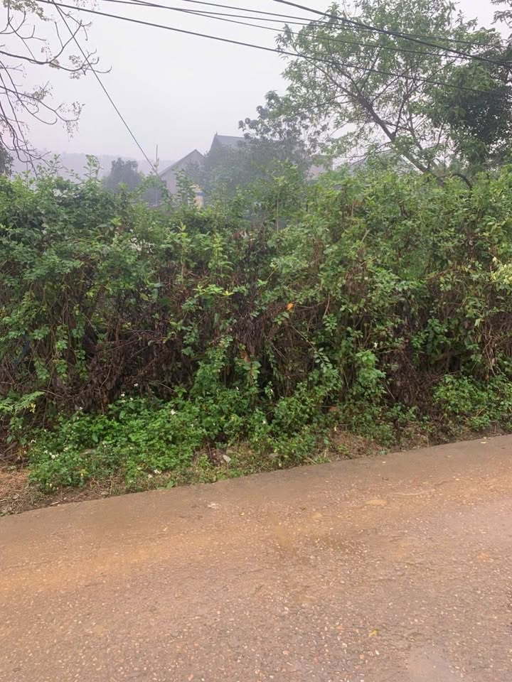 Đất nền Tân Bình, Tam Điệp, Ninh Bình 100m² - Đường lớn, tiện ích đầy đủ!