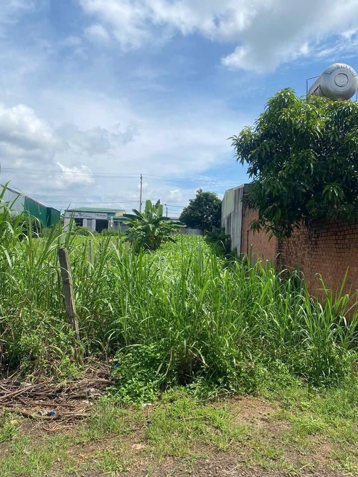 Đất thổ cư tại thôn 4, phường Ea Kao, Buôn Ma Thuột - 1.35 tỷ - Đầu tư sinh lời tốt!