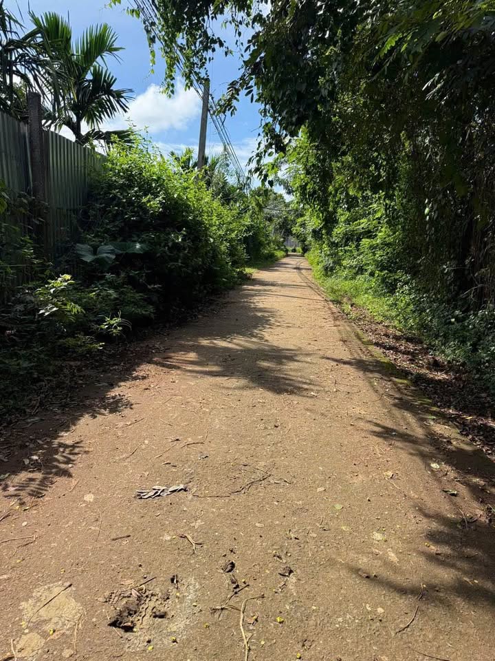 Đất nền phường Ea Kao, Buôn Ma Thuột 150m² giá 575 triệu - Cơ hội đầu tư tuyệt vời!