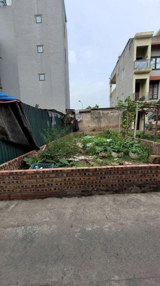 Đất Tứ Hiệp 38m² giá 5 tỷ - Đường ô tô chỉ 10m!